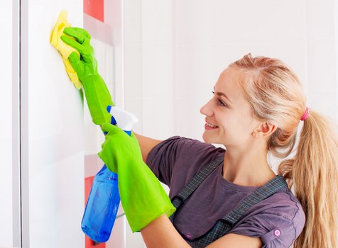 Professional carpet cleaning in a Colindale home