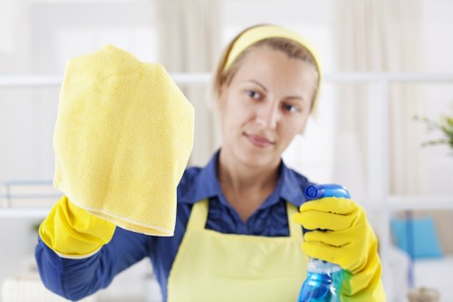 Cleaning products and equipment arranged safely for use