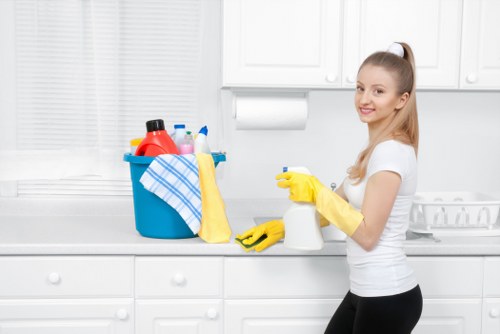 Leather sofa care and cleaning service for home upholstery